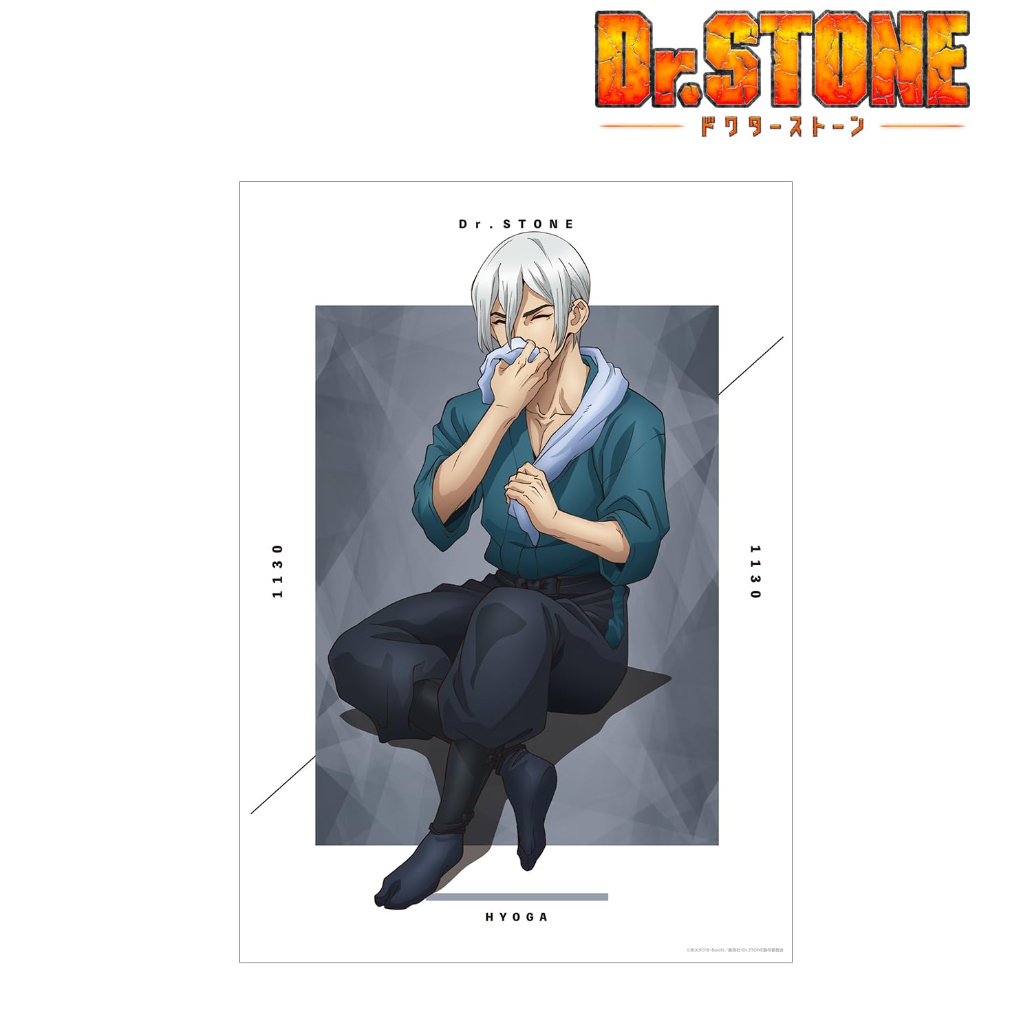Amazon.co.jp: TVアニメ Dr.STONE 描き下ろしイラスト 氷月 石化前ver