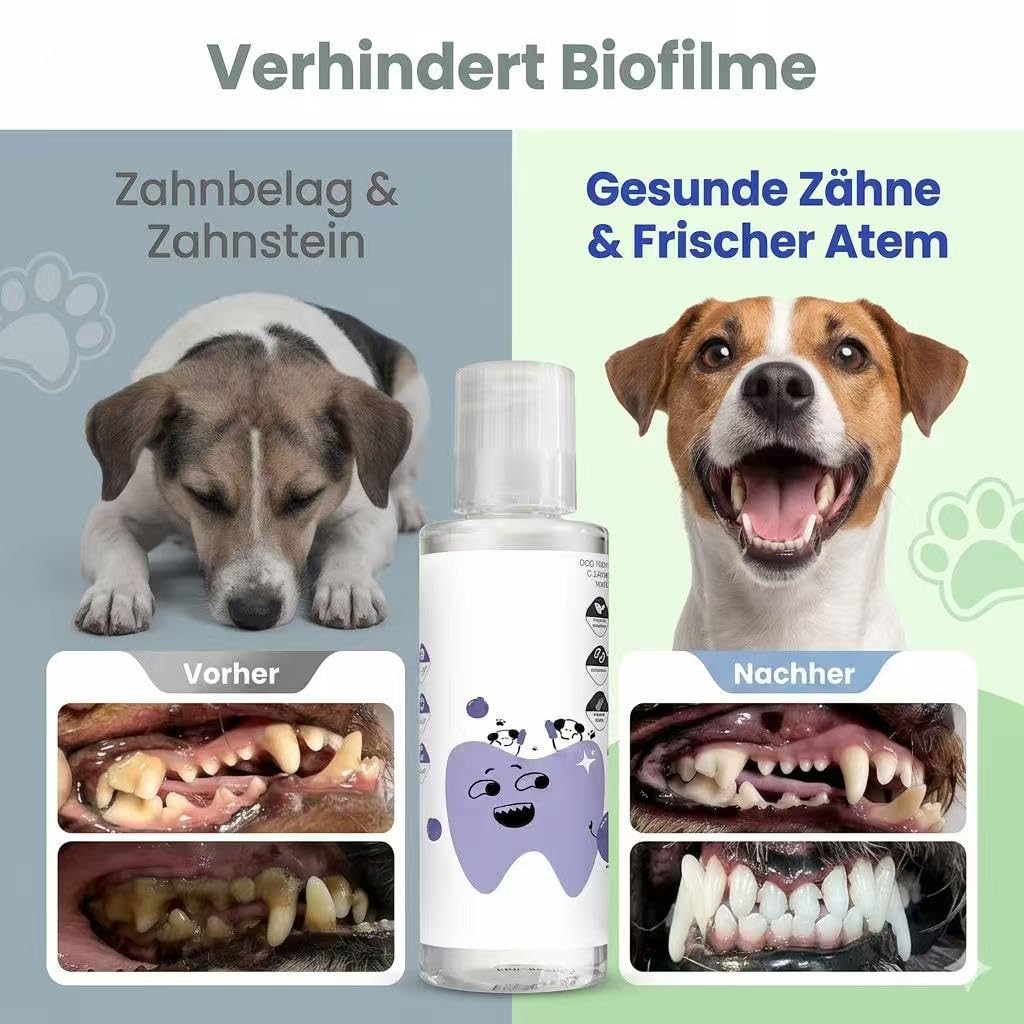 Paw Bright Dental Plus – Wasserzusatz zur Zahnpflege für Hunde & Katzen gegen Zahnstein & Mundgeruch, geruchs- & geschmacksneutral, pflanzlich, ohne Bürste