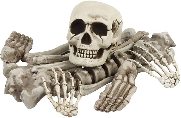 Amazon Culturaltu ハロウィン 骸骨 飾り 怖い ドクロ スケルトン 模型 モデル 人体 骨格 頭蓋骨 プラスチック ホラー 幽霊シミュレーション リアル 雰囲気満点 装飾 肝試し 学習用教材 ゴーストハウス バー パーティー 小道具 お化け屋敷 店舗 室内 19点セット Amazon Culturaltu ハロウィン 骸骨 飾り 怖い ドクロ スケルトン 模型 モデル 人体 骨格 頭蓋骨 プラスチック ホラー 幽霊シミュレーション リアル 雰囲気満点 装飾 肝試し 学習用教材 ゴーストハウス バー パーティー 小道具 お化け屋敷 店舗 室内 19点セット