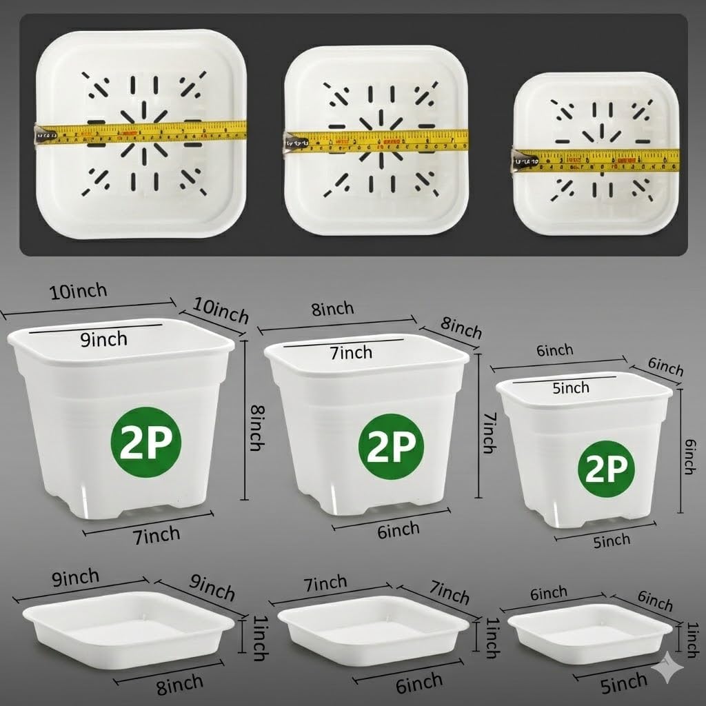6 Pack 6/8/10 Inch Square Plant Pots with Saucers - 24-Strip Airflow Drainage for Root Health - Heavy Duty 5mm Thick White Plastic Orchid Planters for Indoor Outdoor Flowers, Herbs & Succulents