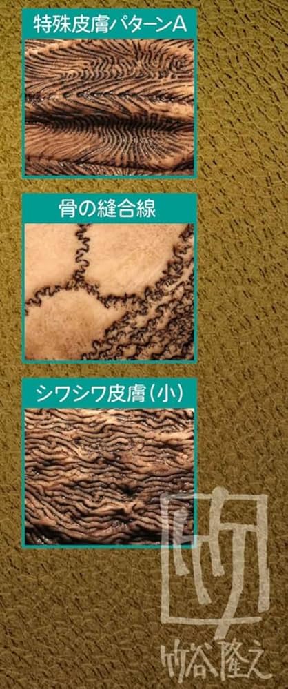 Amazon | クロス・ワークス タケヤ×クロス・ワークス モデリング