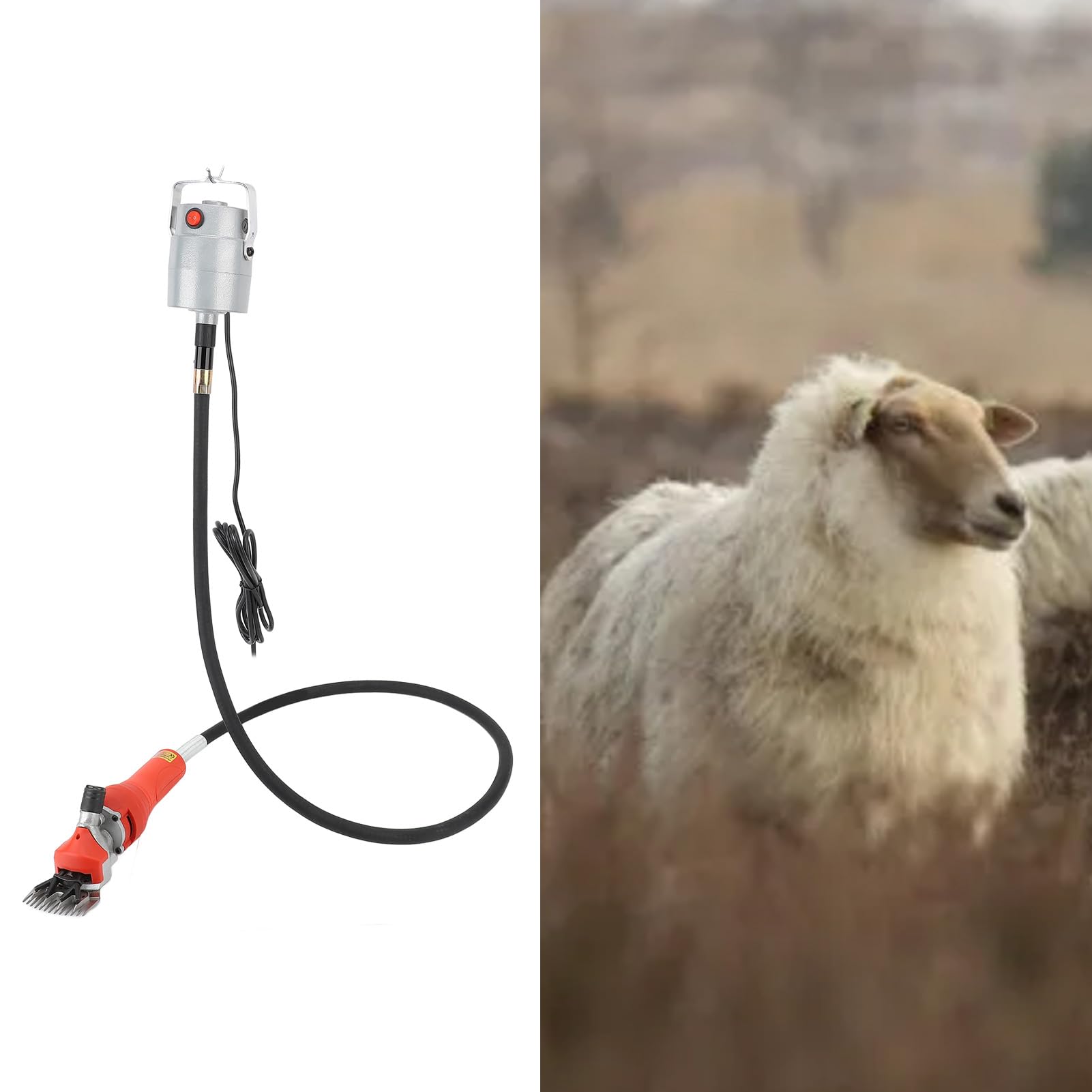 Forbici Per Pecore Elettriche Professionali Da 450 W, Tosatrici Per Toelettatura Per Pecore Alpaca Capre, Kit Per Toelettatura Pesante Per Allevamento Di Bestiame Con Custodia