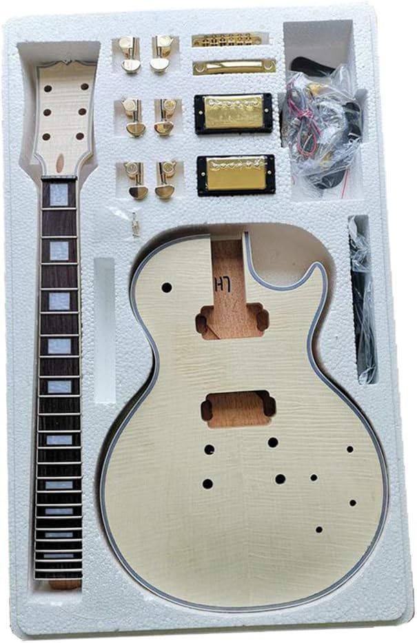Premium DIY Style Electric Guitar Kit Guitar Kit Amazon.ca Musical Instruments, Stage & Studio
