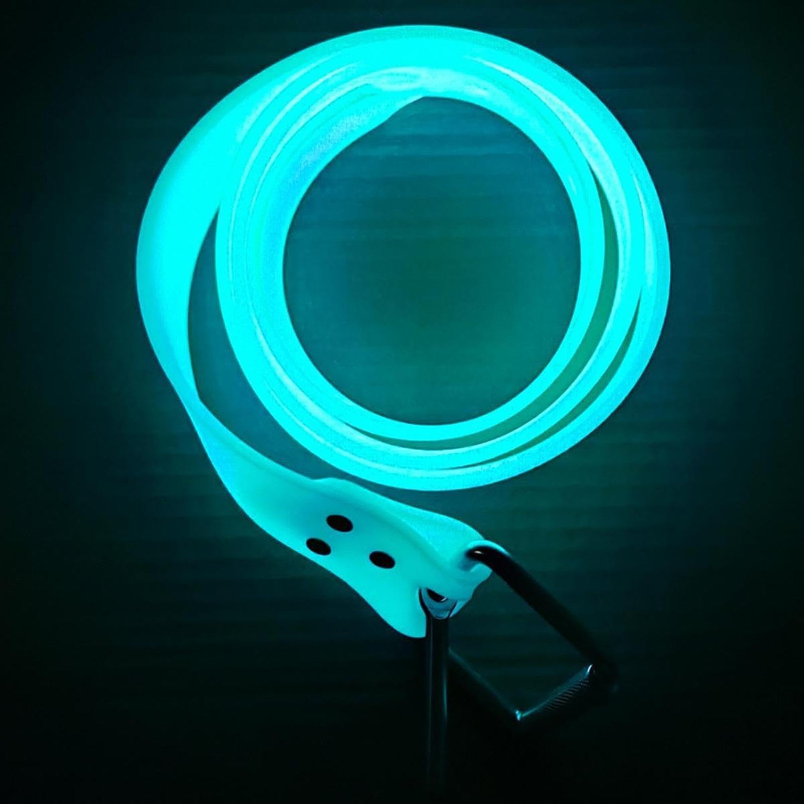 F Fityle Ceinture de lestage phosphorescente réglable et Polyvalente de 1,55 m pour la plongée en apnée et la plongée sous-Marine en Grotte.