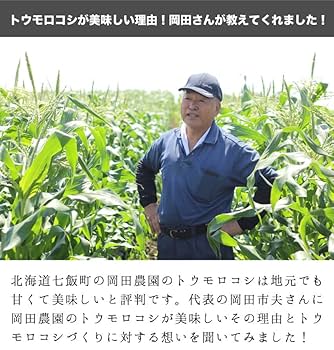 Amazon.co.jp: 2025予約 とうもろこし 北海道産 ゴールド