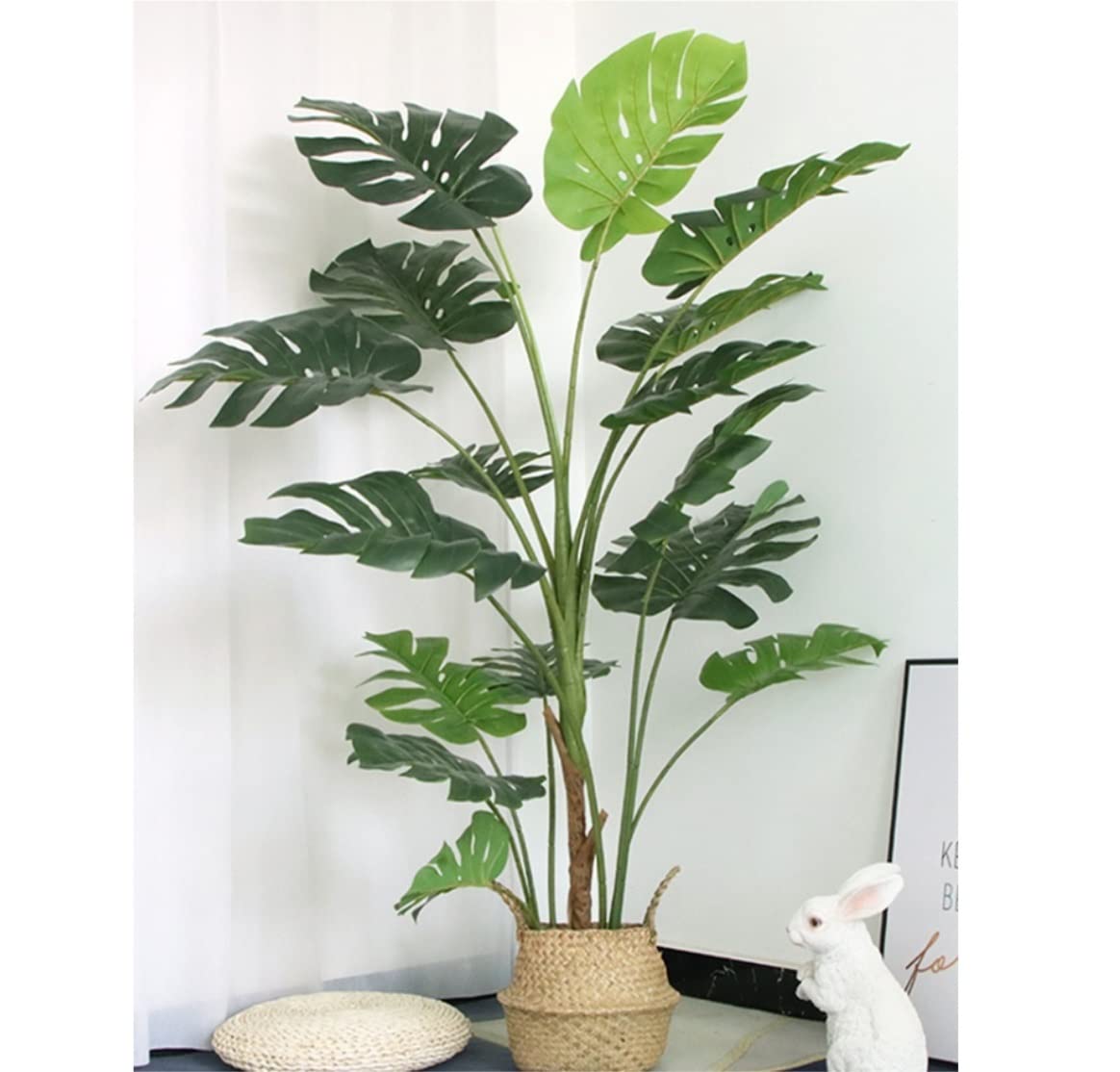 philodendron golden pothos Buy Our Golden Pothos in Hanging Basket main image 1