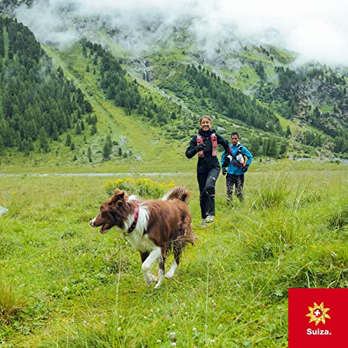 Suiza en zapas con Manu Vilaseca y Theo