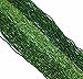 Green Mix Silver Lined Czech 11/0 Glass Seed Beads 3 Full Hanks Preciosa