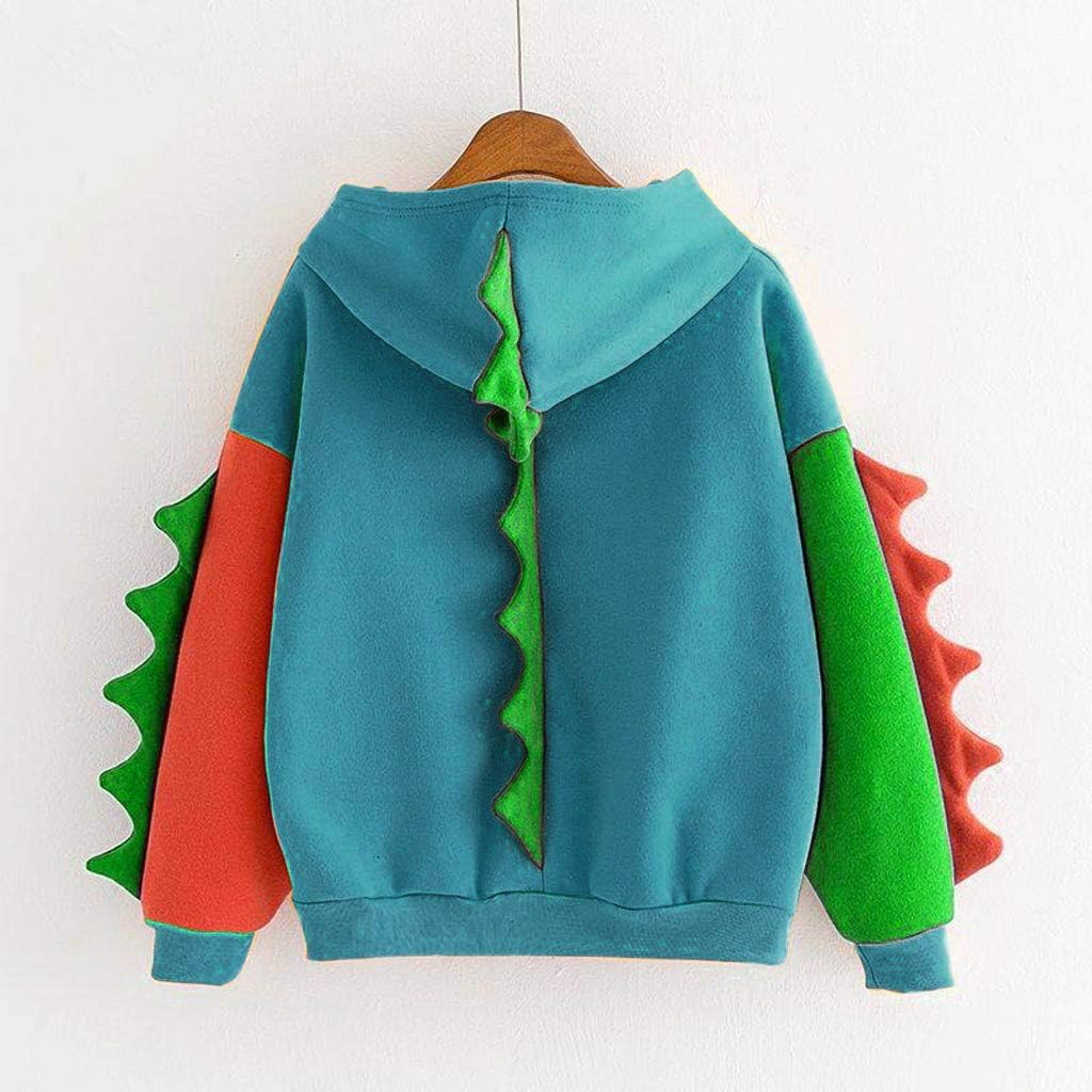 Dinosaur Sweatshirt for Teens Girls 