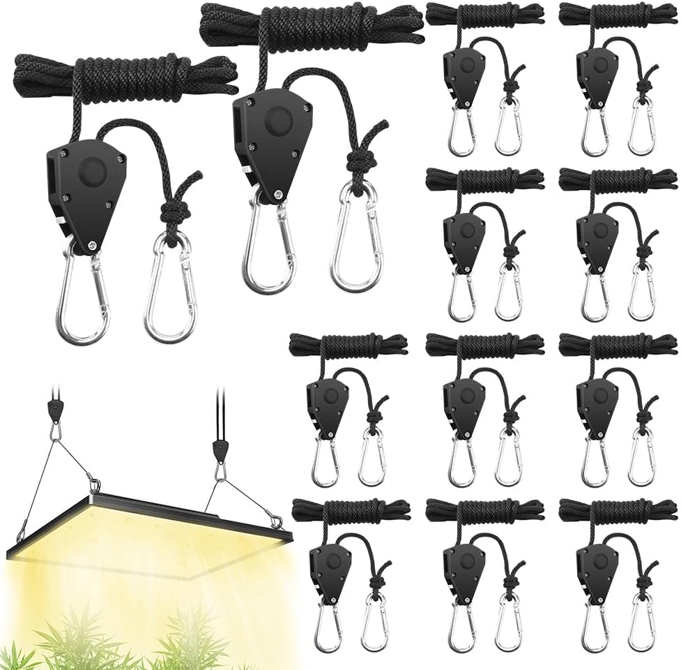 Pack of 12 Adjustable Rope Ratchet 4 mm Guy Ropes with Rope Tensioner 2 m Reflective Guy Ropes Adjustable Ratchet Hanger with Hooks Rope Ratchet for Outdoor Tent Tarpaulin Camping