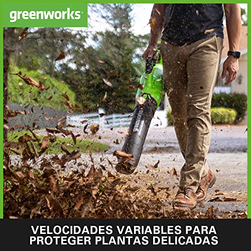Miniatura 5 de 