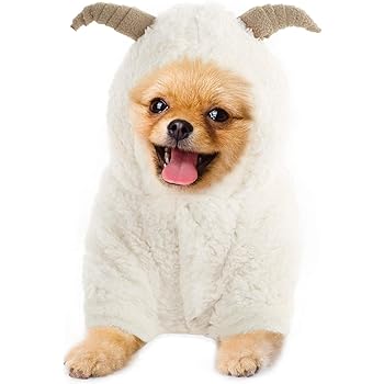 sheep outfit for dog