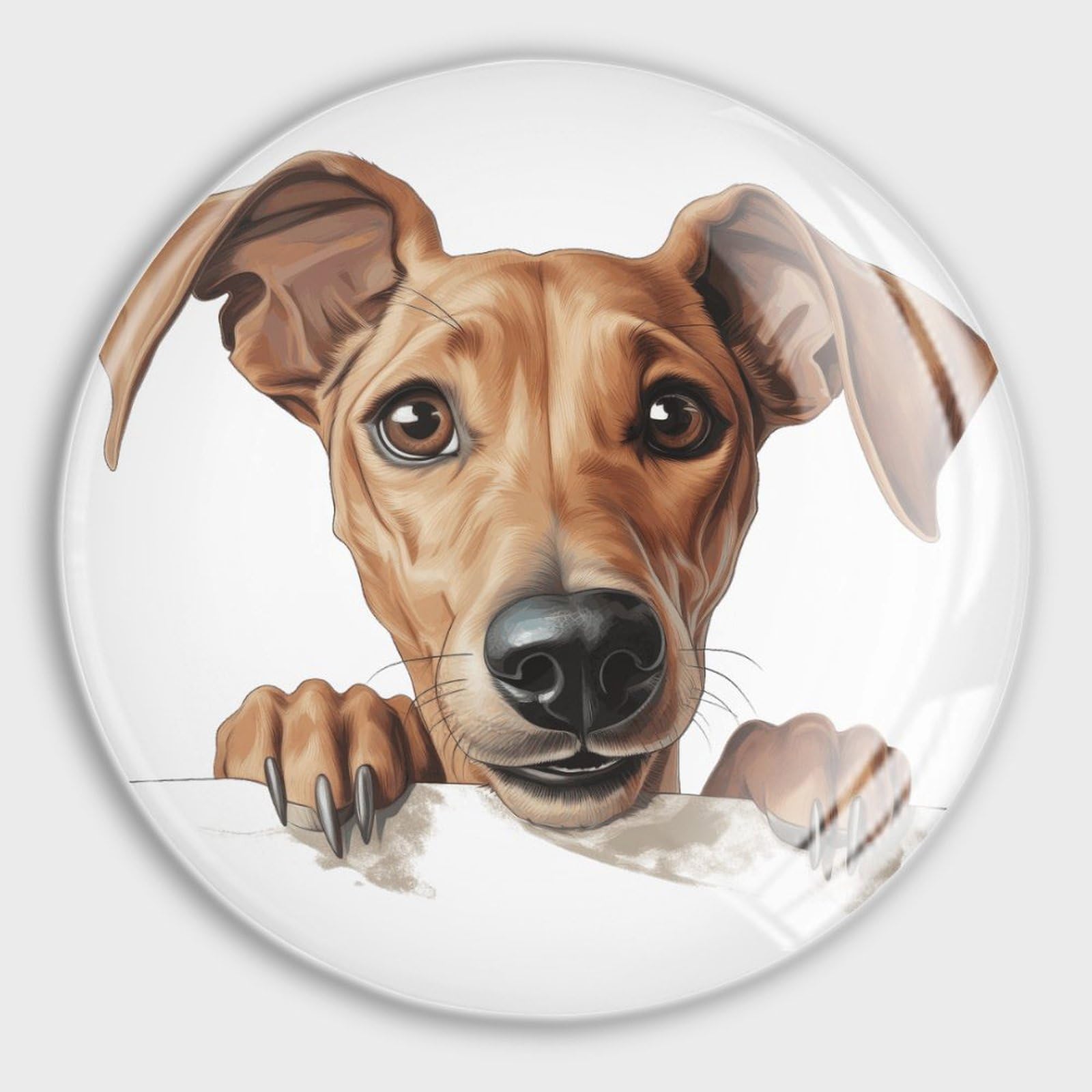 Aimants pour amoureux des chiens Azawakh en verre lot de 4 idée cadeau mignon pour casier