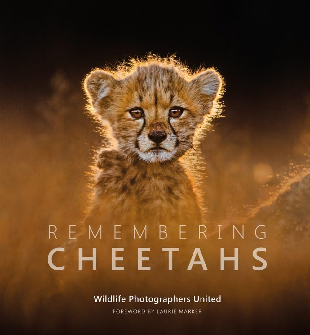 Remembering Cheetahs (Hardback Book)