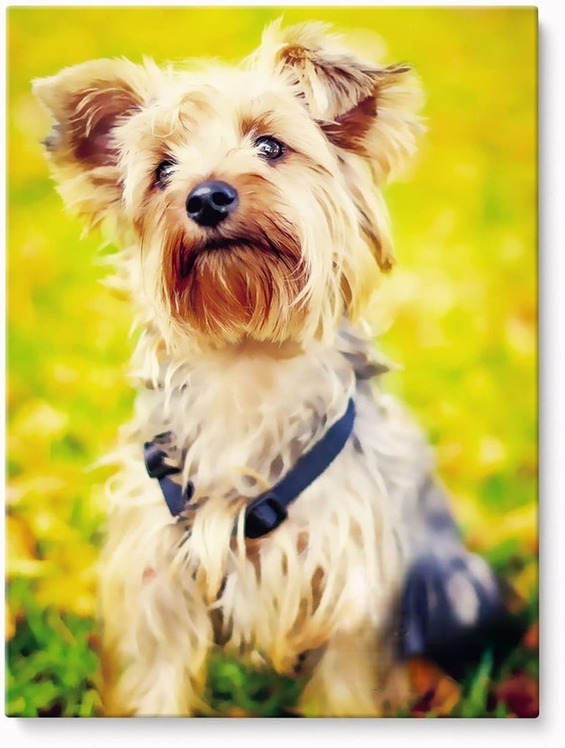 Custom Canvas Pet Portrait