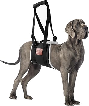 Dog Sling for Back Legs, Dog Lift Harness, Magic Tape Dog Sling for Large Dogs Hind Leg Support, Elderly Dog Lifter, Help Canie Hip Arthritis K9 Cruciate Ligament Rehabilitation (Large)