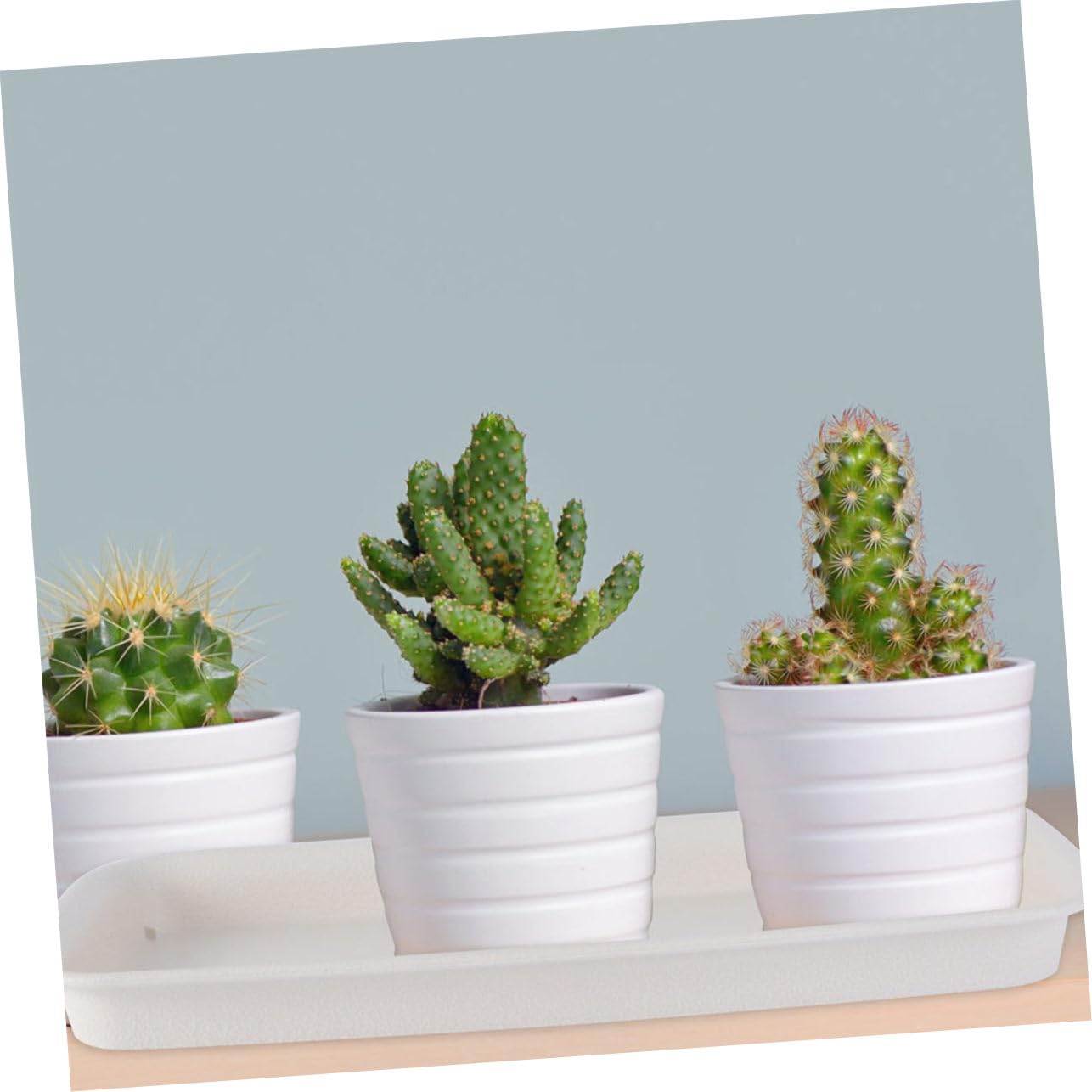 Yardwe 4piezas Bandejas para Agua De Macetas Plato De Jardinería Rectangular Duradero y Reutilizable