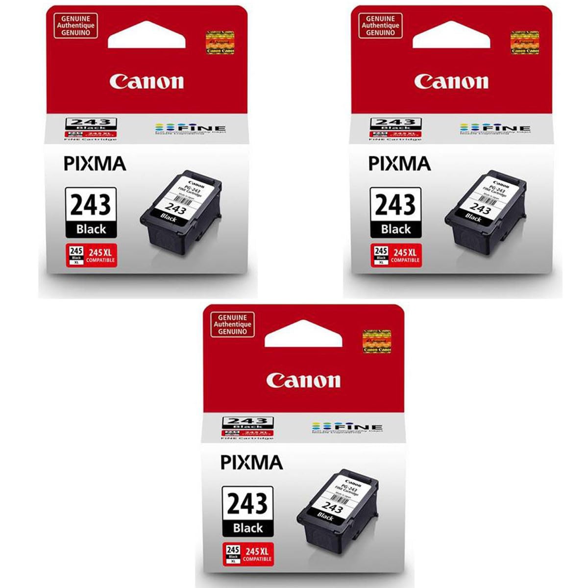 Canon Pack Pg 243 Black Ink Cartridge For Pixma Desertcart INDIA