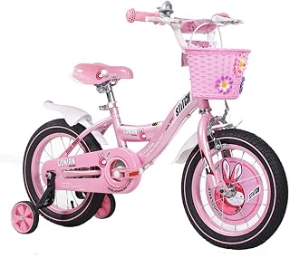 FUFU Outdoor Children's Bicycle, 12 Inch, 18 Inch, Pink, With Stabilizer, Mudguard And Bracket