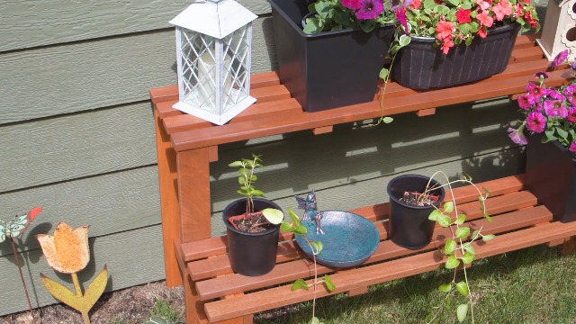 Amazon.com : Sunnydaze 2-Tier Meranti Outdoor Wood Plant Stand