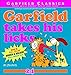 Garfield Takes His Licks: His 24th Book