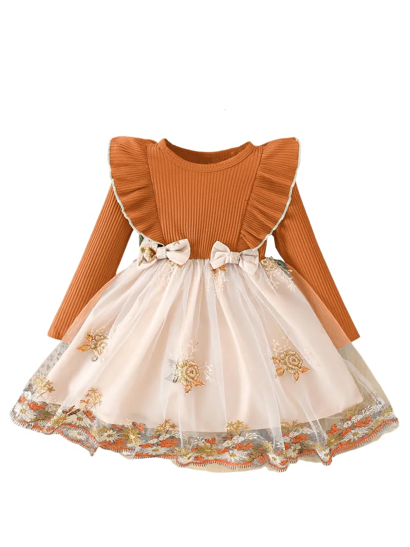 Tagas Girls' Princess Dress for Girls ||Fancy Dress|| Birthday Frock for Girl - Review, Price and Buying Guide