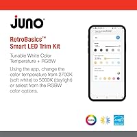 Vista 3 de Juno RB4AC RGBW MW L/SKTWHIP M6 RetroBasics Connect - Luz de techo LED ajustable de color dinámico, rojo, verde, azul, blanco, blanco mate, 4