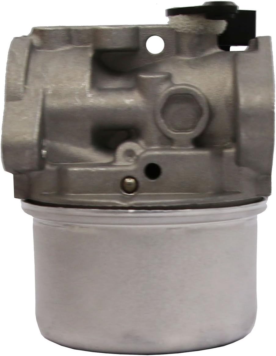 Briggs & Stratton 498170 Carburetor
