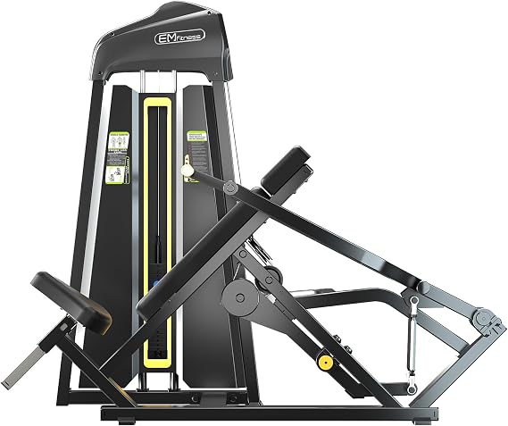 LAT pulldown/Low Row Machine