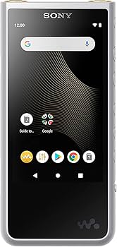 Amazon.com: Sony - Walkman NW-ZX507 Hi-Res 64GB* MP3 Player