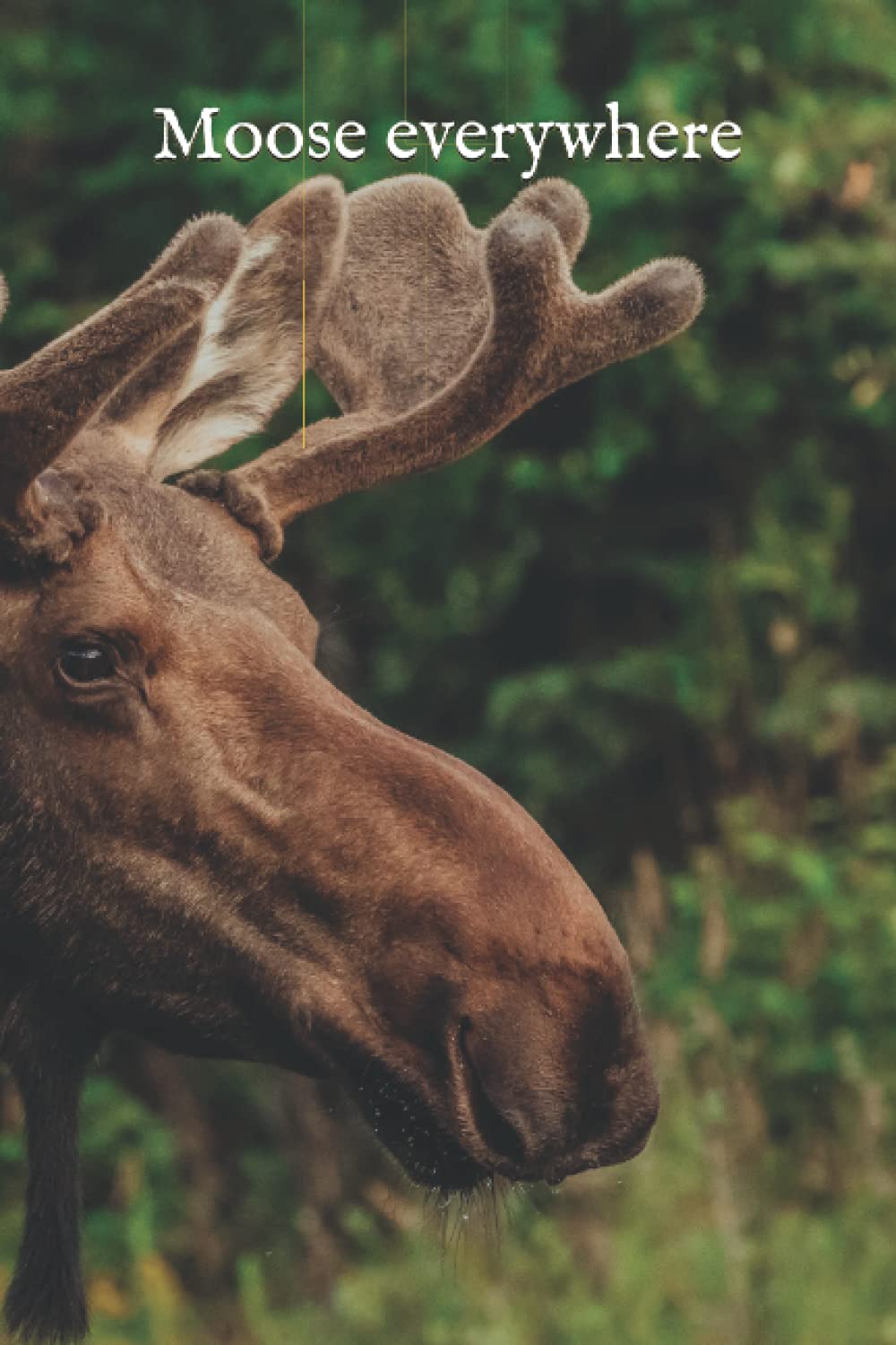 Moose everywhere: Blank moose notebook/journal