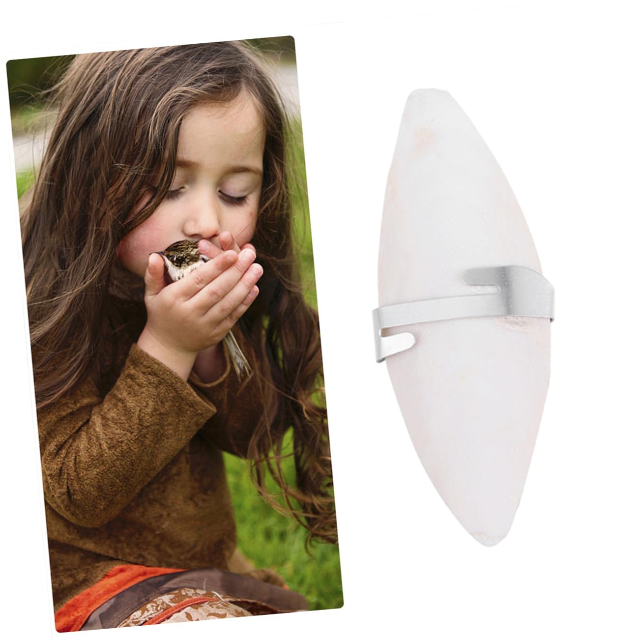 GALPADA 36 Ensembles Lot de Os de Seiche à Mâcher pour Petits Animaux de Grignotage Naturel Calcium avec Support Métallique pour Hamsters Cochons et Oiseaux