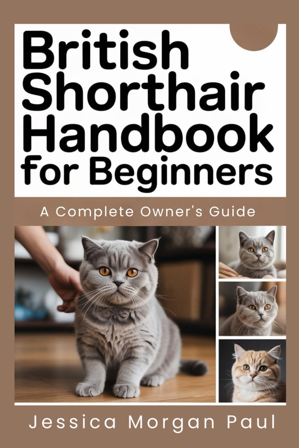 British Shorthair Handbook for beginners: A Complete Owner's Guide (The Elite Cat Breed Chronicles)