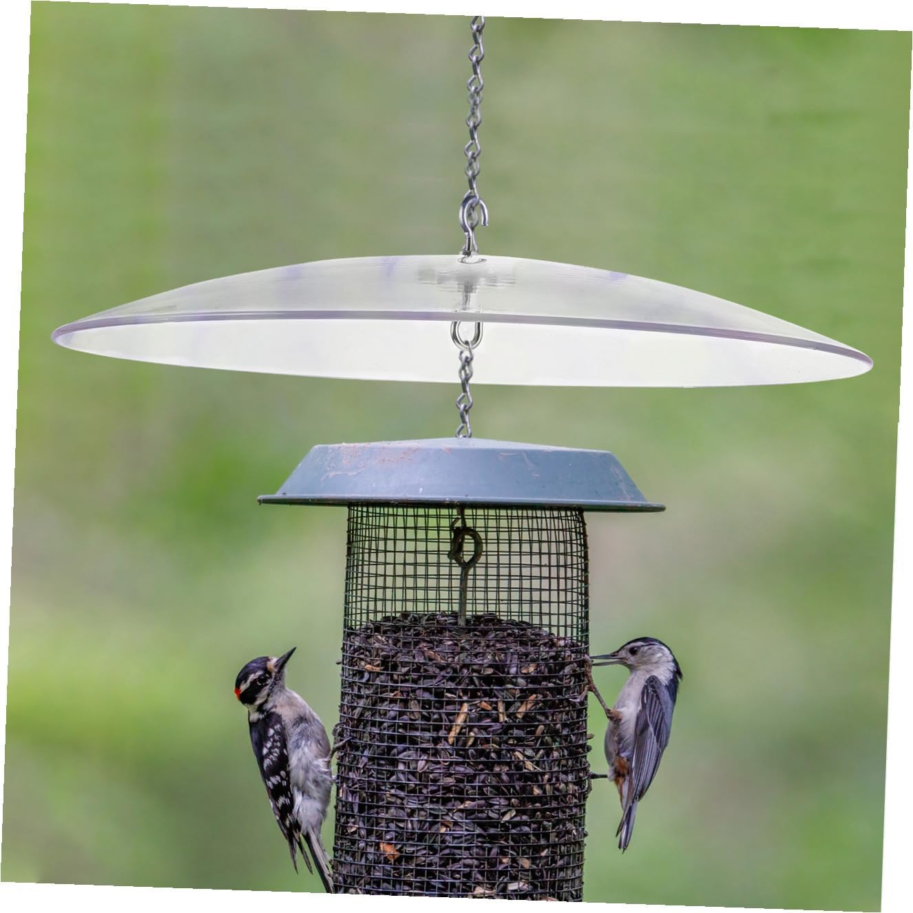 Feeder Dome Cover Protector for Hanging Feeders Weather- Squirrel for Birdwatching Gardens and Yards