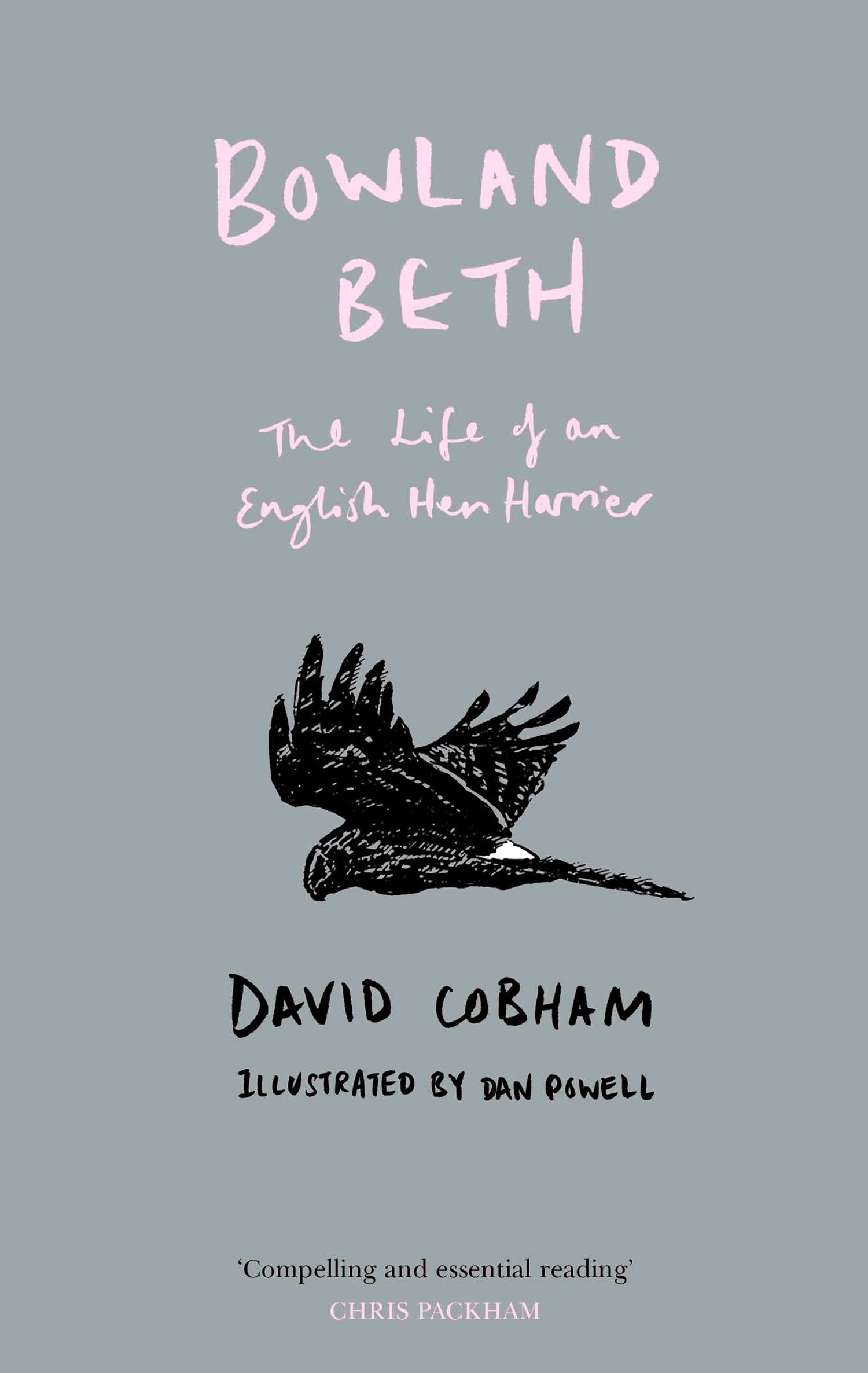 Bowland Beth: The Life of an English Hen Harrier by David Cobham (HB) Book