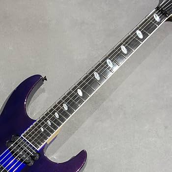 Amazon | Caparison Guitars Dellinger Prominence EF Trans