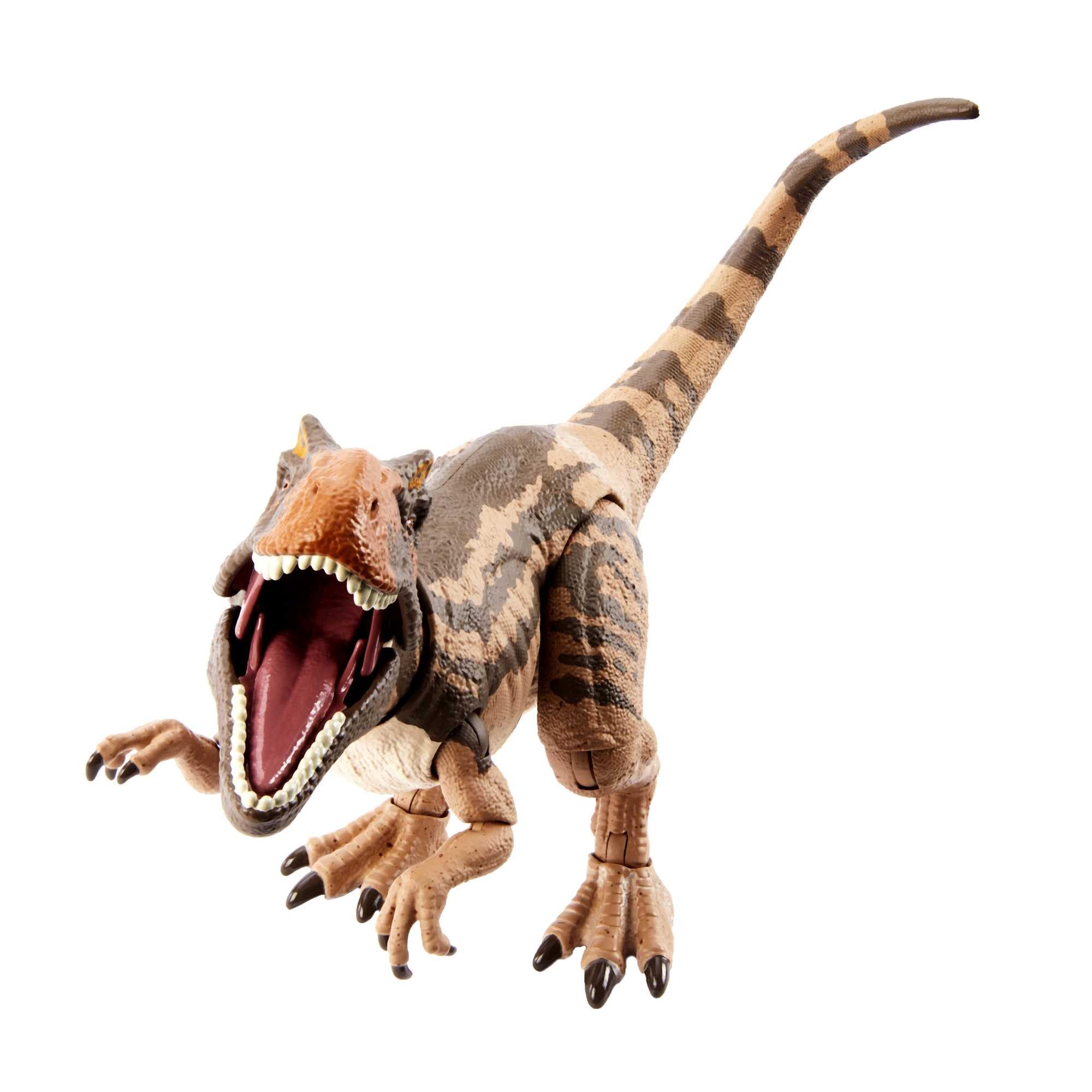 Mattel JURASSIC WORLD Metriacanthosaurus - Dinosauro da collezione con 17 punti di movimento e design ricco di dettagli, 30 anni di Jurassic Park, per bambini dagli 8 anni in su, HLT26
