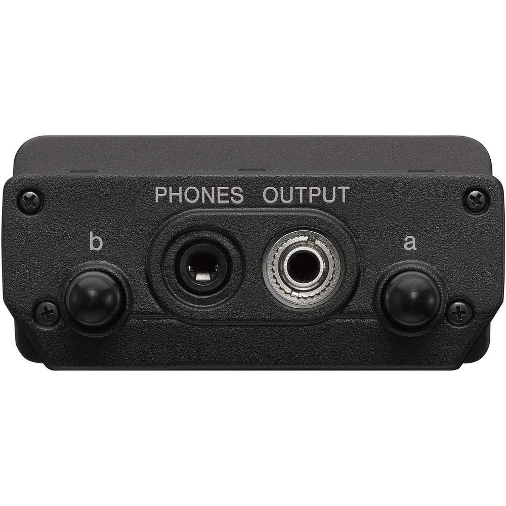 Amazon.com: Sony UWP-D21 Sistema de micrófono inalámbrico Omni