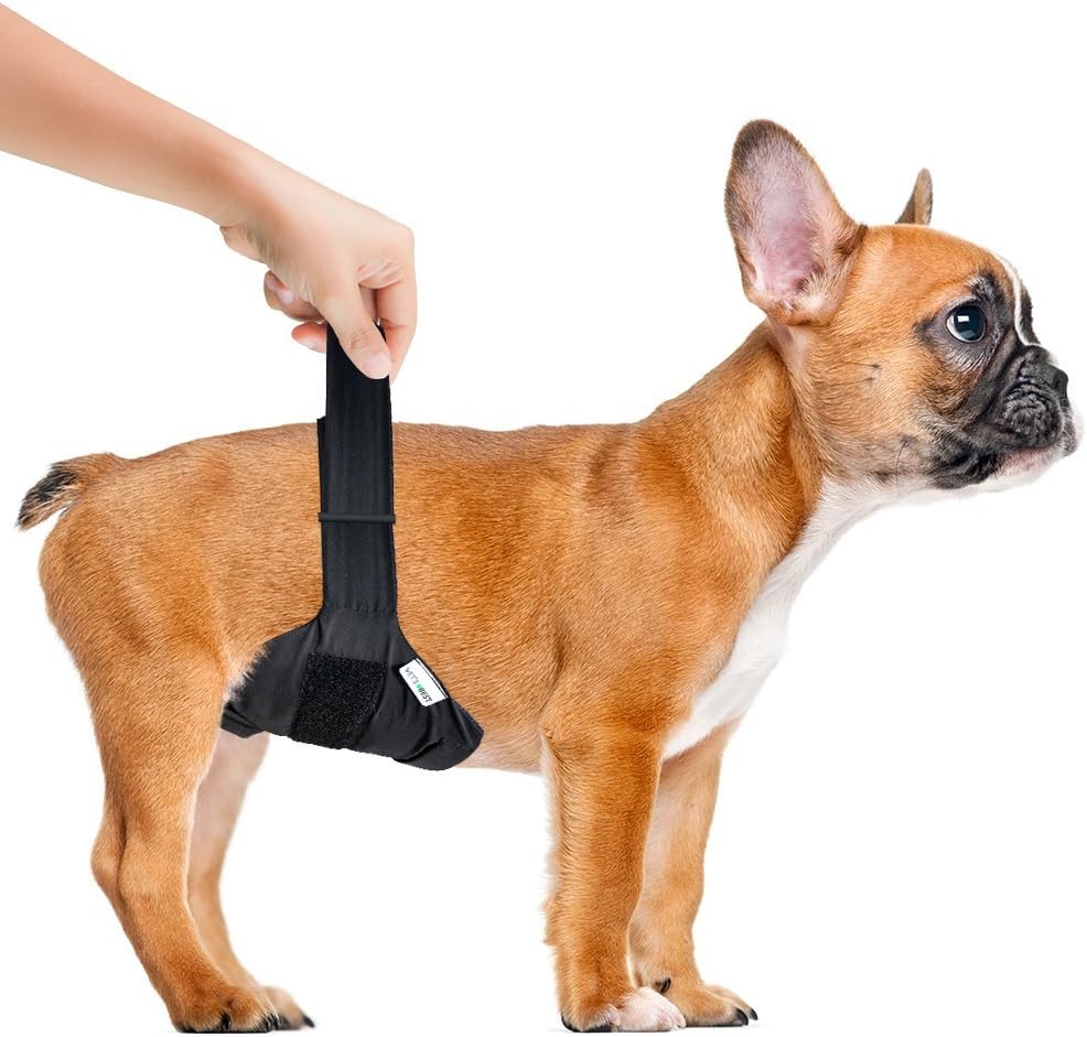 Vet's Best Washable Dog Diapers, Absorbent Wraps with Leak Protection, Excitable Urination, Incontinence, or Male Marking - Image 5