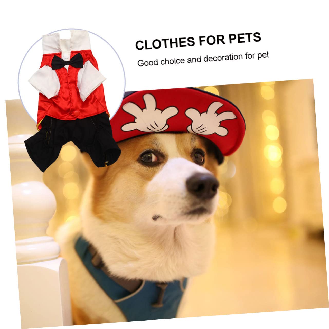 Ropa De Halloween para Perros Disfraz De Chupasangre Suministros para Mascotas Diseño
