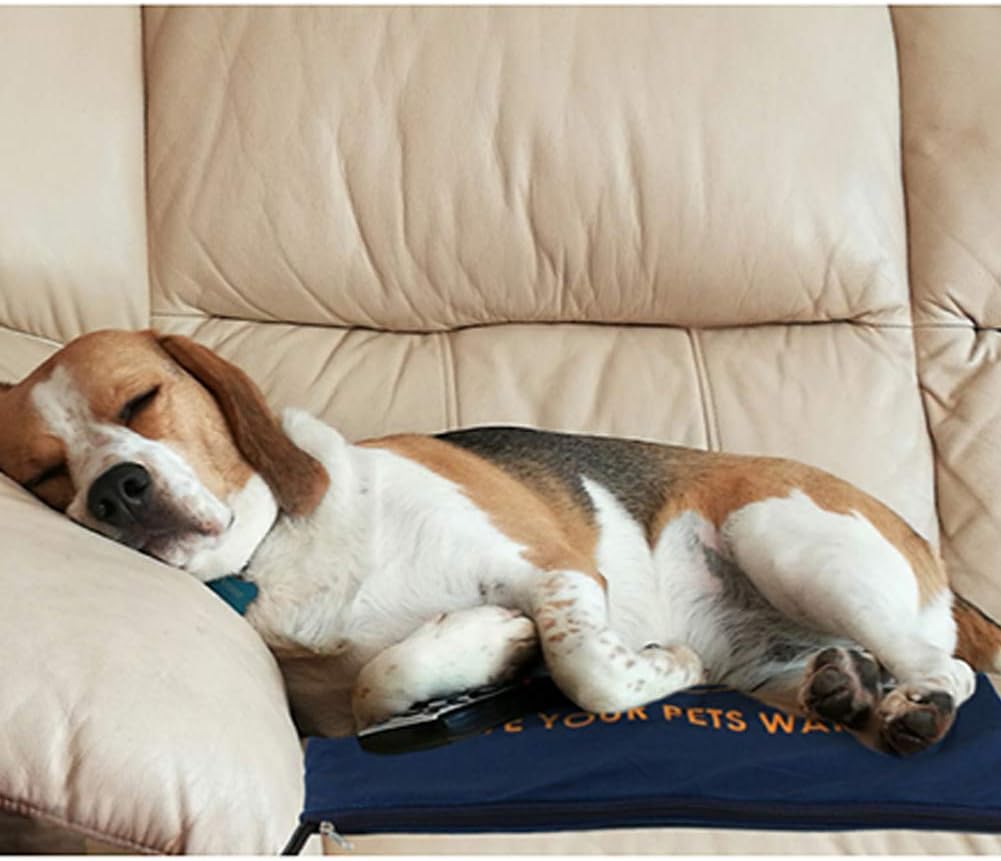 Pet Heating Pad for Cats Dogs,Waterproof Electric Heating Bed Mat,Temperature Adjustable, Animal Bed Warmer House Heater Heated Floor Mat, Pet Warming Mat Indoor (50X50cm)