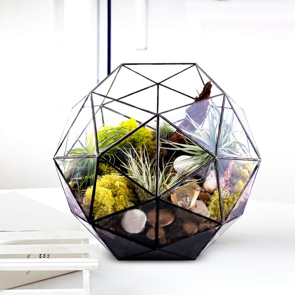 Geometric Terrarium for Air Plant Succulent Fern Diaplay,Clear Glass Tabletop Landscape Container for DIY Miniature Fairy Garden