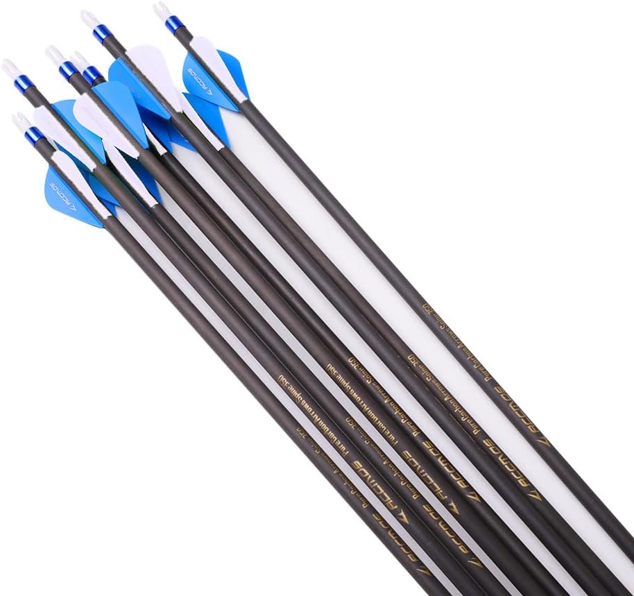 6/12pc Custom Length Carbon Arrows Spine 300 350 400 500 600 700 800 Removable Tips 2" Vane Plastic Fletching Targeting Hunting Arrow for Traditional Bow Long-Bow Recurve Bow Compound Bow