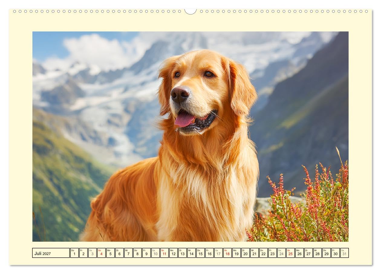 CALVENDO - Golden Retriever. Treue Seelenhunde in der Bergwelt (hochwertiger Premium Wandkalender 2027 DIN A2 quer), Kunstdruck in Hochglanz: Inmitten der majestätischen Alpenkulisse zeigen diese toll