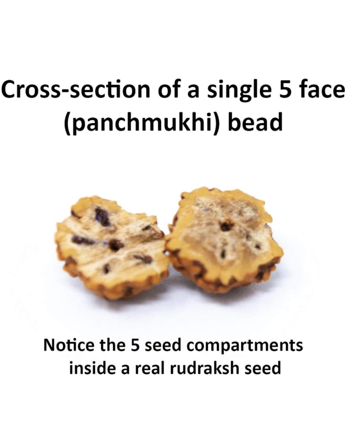 Petrichor 5 Mukhi Rudraksha Mala - 108 Perlen, 8-9mm, Braun, Mit Zertifikat, Für Meditation & Spirituelles Tragen