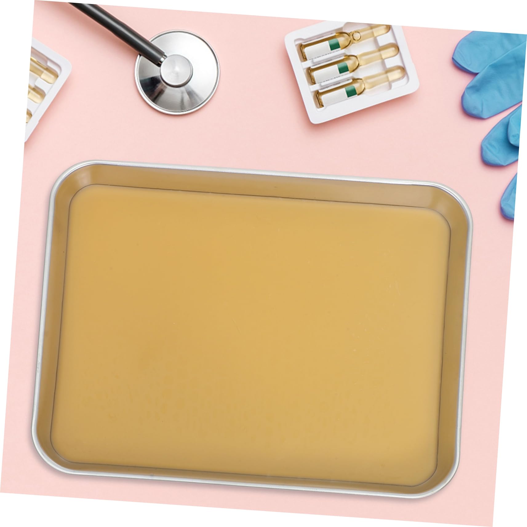 TOPBATHY Vassoio Per Dissezione in Inossidabile Con Cera Per Laboratori Biologia Vassoio Per Dissezione in Metallo Con Base in Cera Design Spazioso Per Esame Campioni Grandi o Multipli