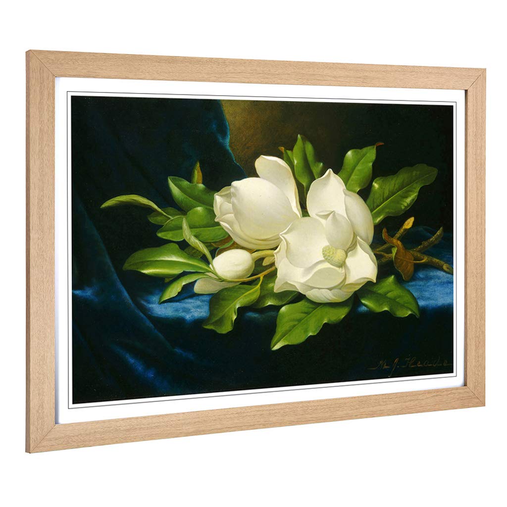 Big Box Art Framed Print of Martin Johnson Heade Giant Magnolias Design | Wall Art Picture | Home Decor for Kitchen, Living Room, Bedroom, Hallway, Oak, A2 / 24.5x18 Inch / 62x45cm