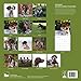 German Shorthaired Pointer 2026 Wall Calendar | 12