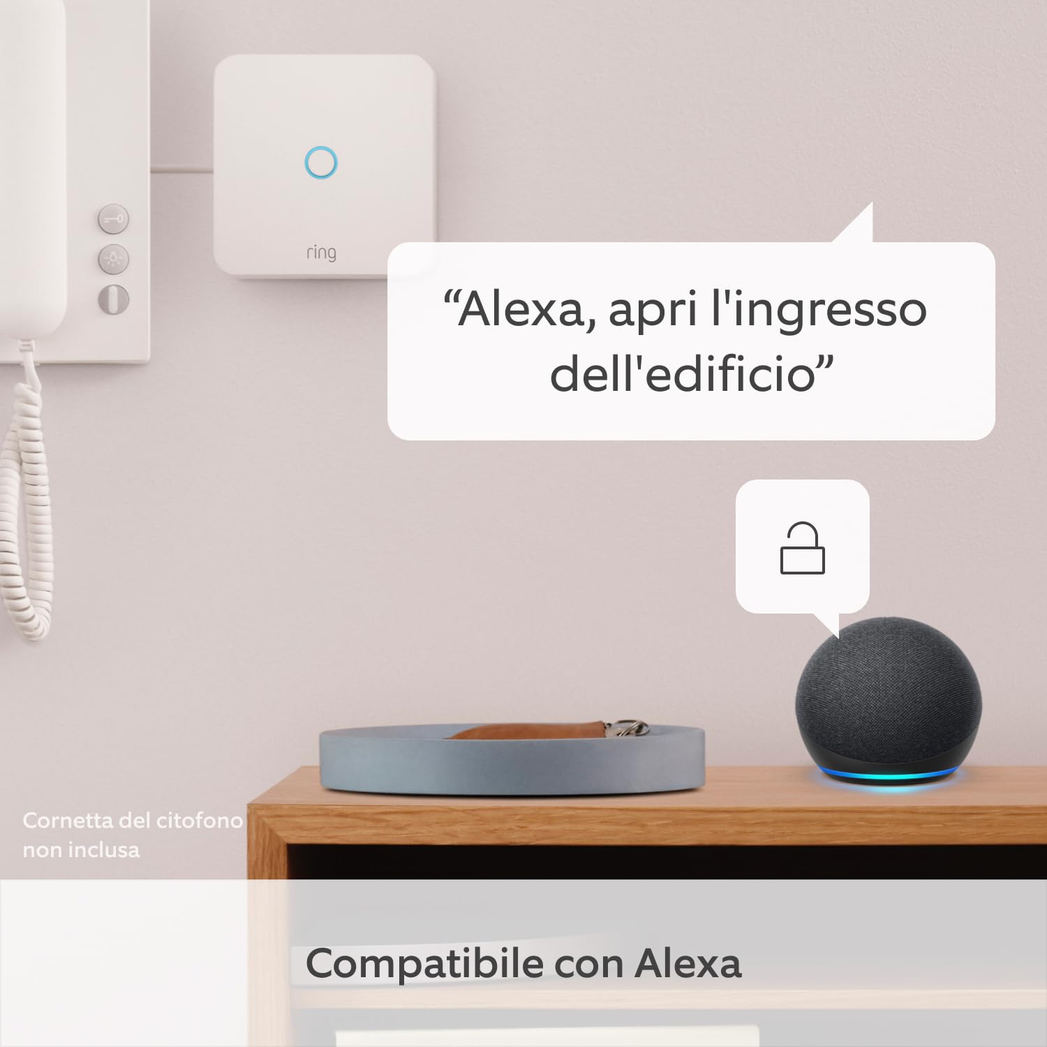 Echo Dot (5ª generazione, versione 2022) + Ring Intercom di Amazon | La combinazione ideale per una casa più intelligente