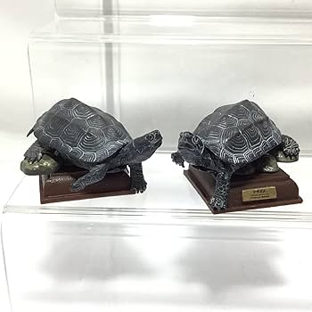 Amazon | ネイチャーテクニカラー 日本のカメ クサガメ 黒化型